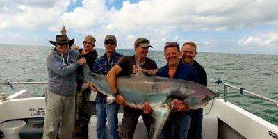 record thresher shark uk.jpg